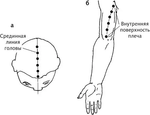 Рис 1 а б Массаж для укрепления сердечной мышцы 1 На точки головы - фото 3