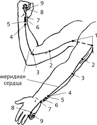 Рис 2 Меридиан сердца 1 Цзицюаньглубокий родник расположена при - фото 9