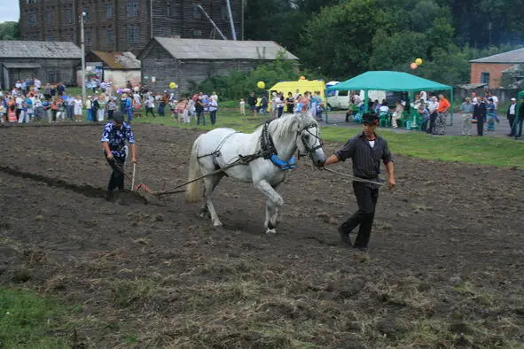 1062009 Беспризорники России Боре Ельцину спасибо Первый Президент - фото 9