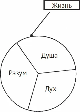 Разум содержит все знания и жизненный опыт Он с огромнейшим трудом и упорным - фото 34