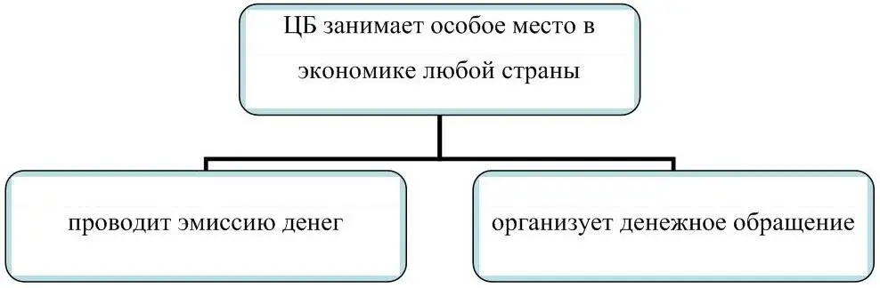Рисунок 1 Основная деятельность ЦБ С экономической точки зрения центральный - фото 9