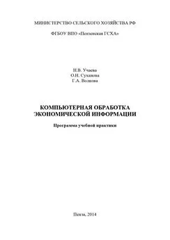 Галина Волкова - Компьютерная обработка экономической информации