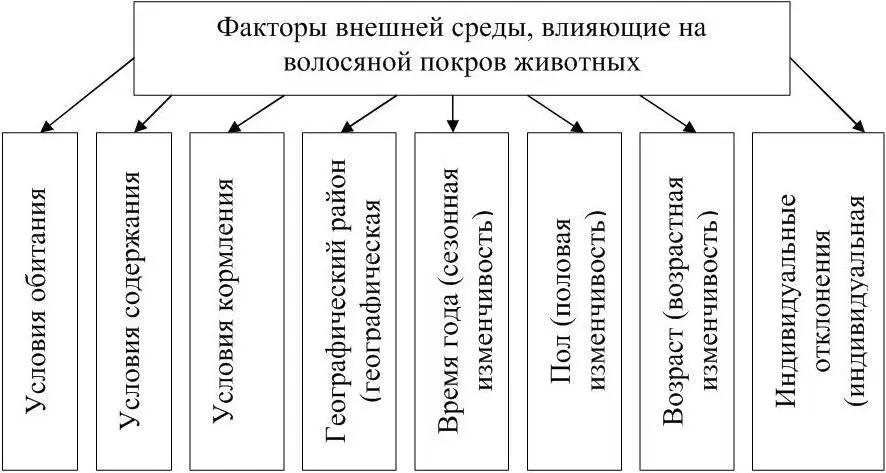 Рисунок 14 Факторы влияющие на волосяной покров животных Окраска волосяного - фото 16