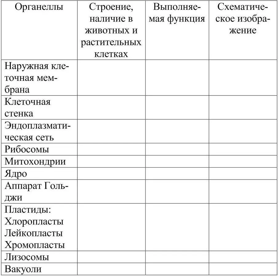 По характеру клеточной организации выделяют прокариотические доядерные и - фото 4