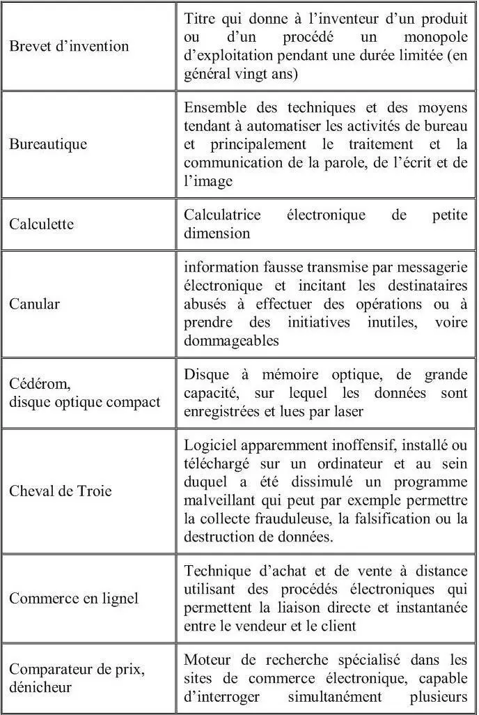 Informatique et Technologies de linformation traduction technique - фото 3