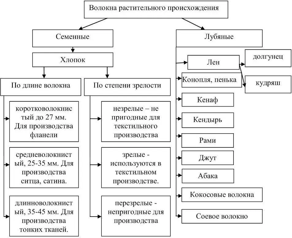 Рисунок 2 Классификация натуральных волокон растительного происхождения К - фото 2