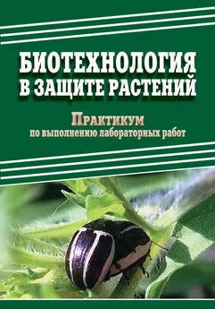 Дмитрий Павлов - Биотехнология в защите растений. Практикум по выполнению лабораторных работ