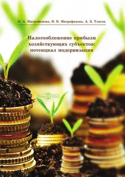 Инна Митрофанова - Налогообложение прибыли хозяйствующих субъектов: потенциал модернизации
