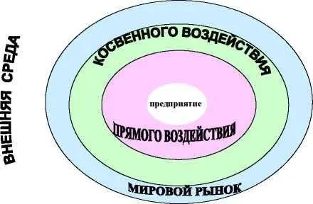 Внешняя среда косвенного воздействия Сфера косвенного воздействия или мега - фото 2