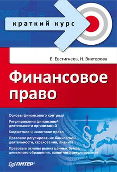 Евгений Евстигнеев - Финансовое право