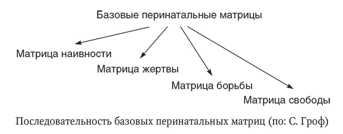 Вторая перинатальная матрица начало родов Оно адекватно переживанию чувства - фото 1