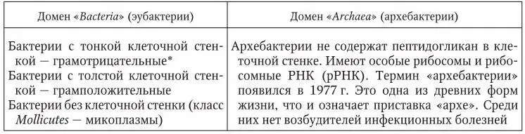 Большинство грамотрицательных бактерий объединены в тип протеобактерии - фото 6