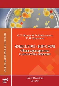 Елена Ермоленко - Morbillivirus – вирус кори. Общая характеристика и диагностика инфекции. Учебно-методическое пособие