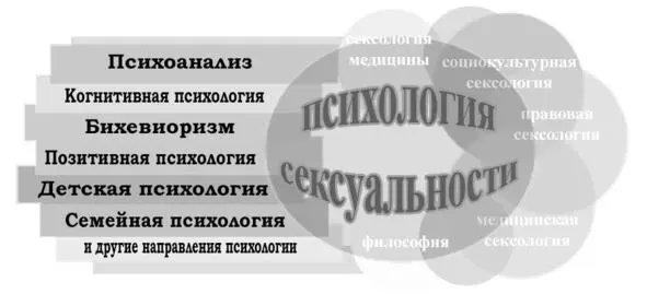 Рис 3 Место психологии сексуальности как области междисциплинарных знаний На - фото 3