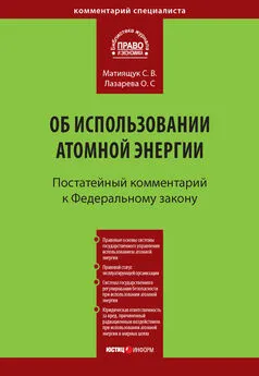 Светлана Матиящук - Комментарий к Федеральному закону от 21 ноября 1995 г. № 170-ФЗ «Об использовании атомной энергии» (постатейный)