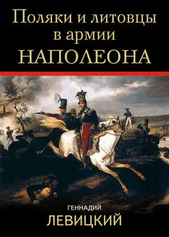 Геннадий Левицкий - Поляки и литовцы в армии Наполеона
