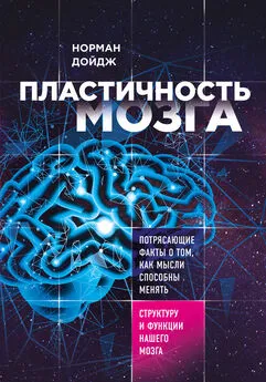 Норман Дойдж - Пластичность мозга. Потрясающие факты о том, как мысли способны менять структуру и функции нашего мозга