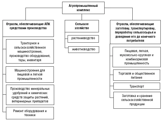 Рисунок 12 Отраслевая структура АПК Первая сфера включает отрасли - фото 2