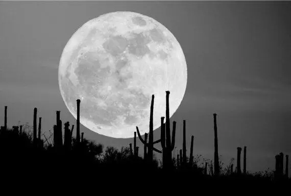 Рис 11 Восход полной Луны незабываемое зрелище Фото Stefan Seip Чем - фото 2