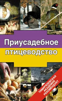 Эдуард Бондарев - Приусадебное птицеводство