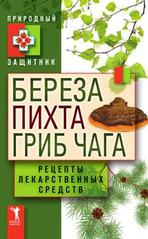 Юлия Николаева - Береза, пихта, гриб чага. Рецепты лекарственных средств