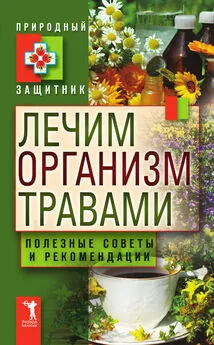 Юлия Николаева - Лечим организм травами. Полезные советы и рекомендации