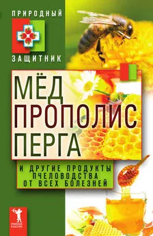 Юлия Николаева - Мёд, прополис, перга и другие продукты пчеловодства от всех болезней