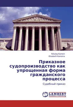 Николай Камзин - Приказное судопроизводство как упрощенная форма гражданского процесса. Судебный приказ