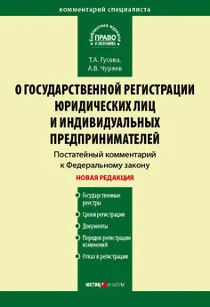 Татьяна Гусева - Комментарий к Федеральному закону «О государственной регистрации юридических лиц и индивидуальных предпринимателей» (постатейный)