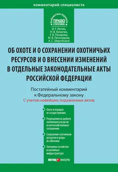 Иван Иутин - Комментарий к Федеральному закону от 24 июля 2009 г. №209-ФЗ «Об охоте и о сохранении охотничьих ресурсов и о внесении изменений в отдельные законодательные акты Российской Федерации» (постатейный)