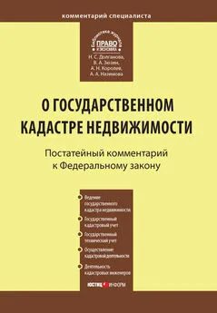 Наталья Долганова - Комментарий к Федеральному закону от 24 июля 2007 г. №221-ФЗ «О государственном кадастре недвижимости»