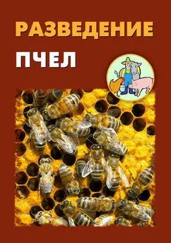 Александр Ханников - Разведение пчел