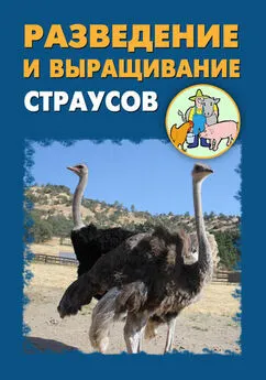 Александр Ханников - Разведение и выращивание страусов