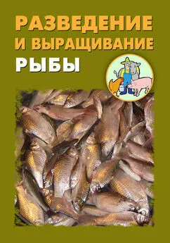 Александр Ханников - Разведение и выращивание рыбы