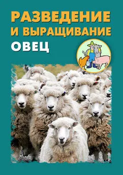 Александр Ханников - Разведение и выращивание овец