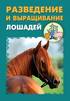 Александр Ханников - Разведение и выращивание лошадей