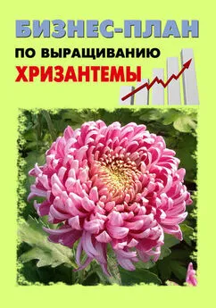 Павел Шешко - Бизнес-план по выращиванию хризантемы