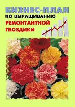 Павел Шешко - Бизнес-план по выращиванию ремонтантной гвоздики