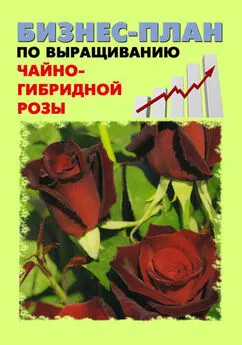 Павел Шешко - Бизнес-план по выращиванию чайно-гибридной розы