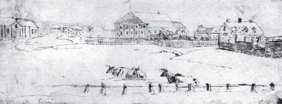 ФА Васильев Троицкая площадь на Городовом острове 1719 год Перепись - фото 7