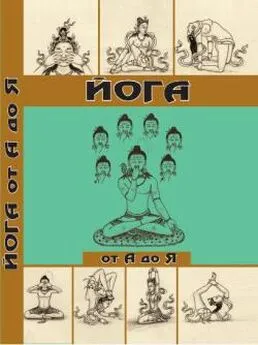 Давид Фроли - Йога от А до Я. Практика асан с позиции Аюрведы