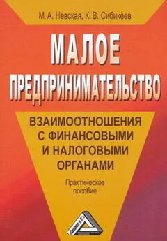 Константин Сибикеев - Малое предпринимательство: взаимоотношения с финансовыми и налоговыми органами