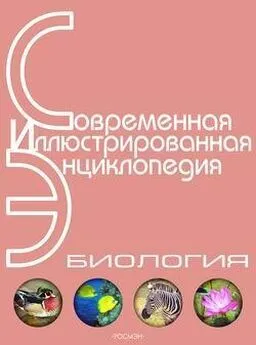 Александр Горкин - Энциклопедия «Биология» (с иллюстрациями)