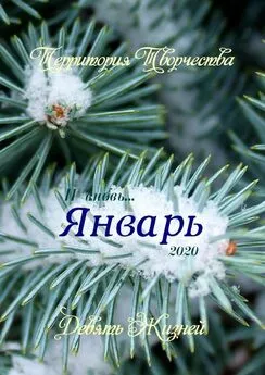 Валентина Спирина - Январь. Девять Жизней