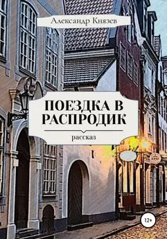 Александр Князев - Поездка в Распродик