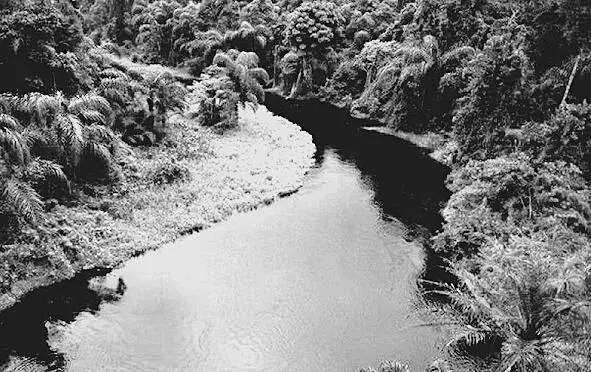 Река Амарумайу в стране МусуМусу Златоухий вождь кончил и по мосткам пошёл на - фото 3