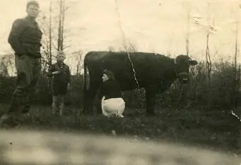 Александр Иванович Славочка и мама доит Бриту Летом 1945г в окно второго - фото 6