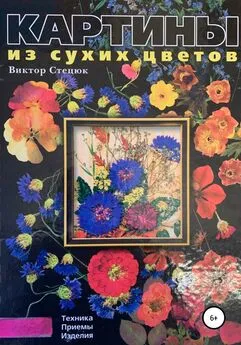 Виктор Стецюк - Картины из сухих цветов