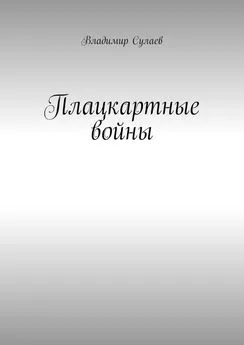 Владимир Сулаев - Плацкартные войны. Гражданская война между Людьми и быдлом