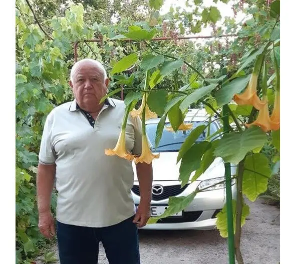 ВСГорбенко Картина 16Ухмылки правосудия Заканчивались благословенные - фото 21